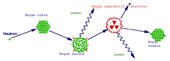 Activation neutronique