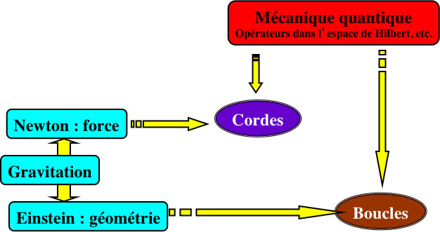 Deux voies vers la gravitation quantique