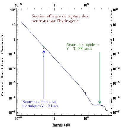 Section efficace des neutrons